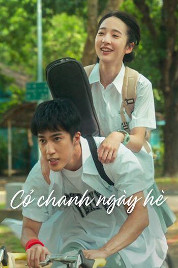 Cỏ Chanh Ngày Hè